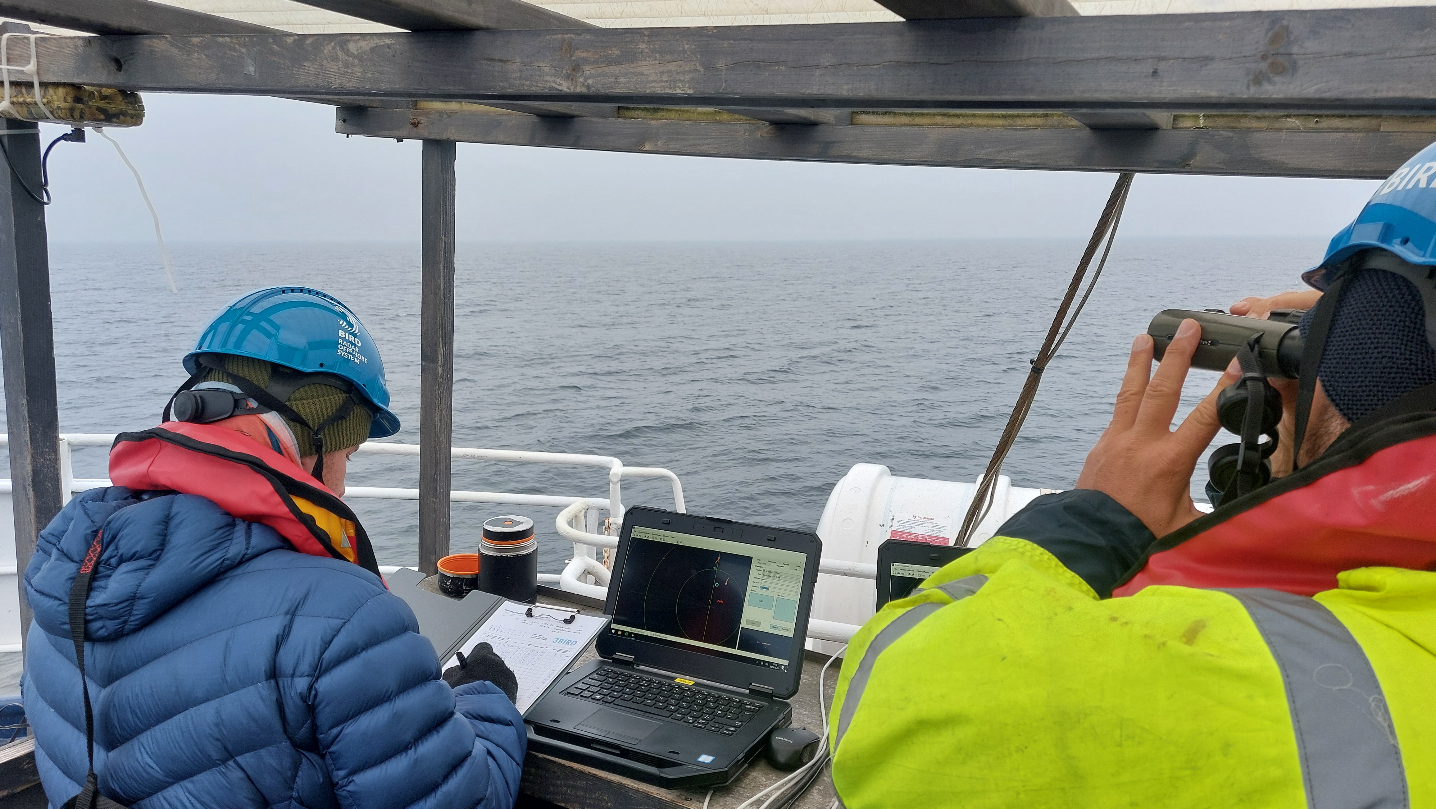 fot_marcin_dyduch_3bird